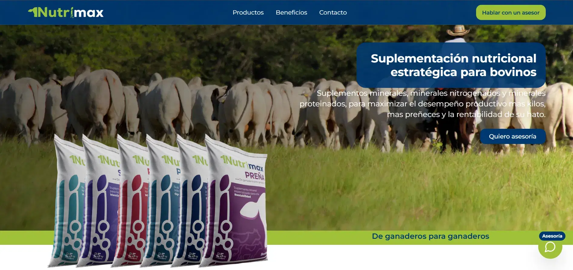 Proyecto Sales Nutrimax